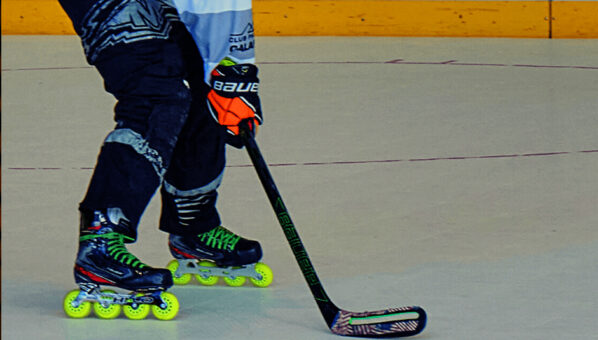 hock